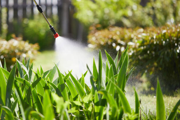 24/7 Emergency Mosquito Control experts in China, TX